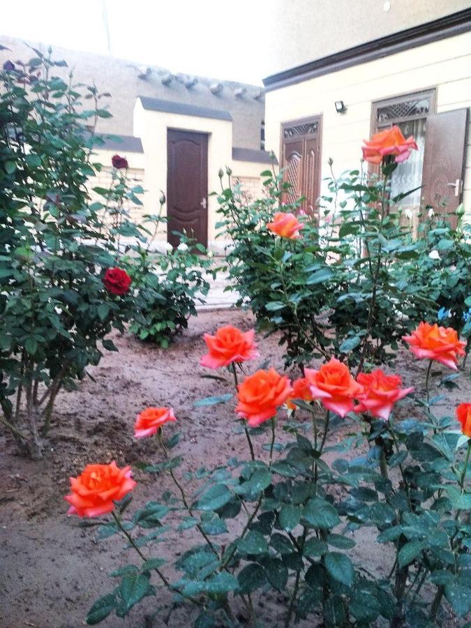 Shodlik Guest House Khiva ภายนอก รูปภาพ